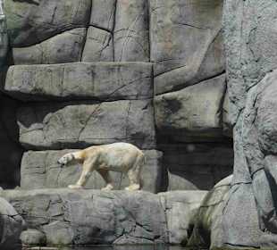 Tierpark Hagenbeck