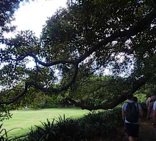 Stadtrundgang Sydney