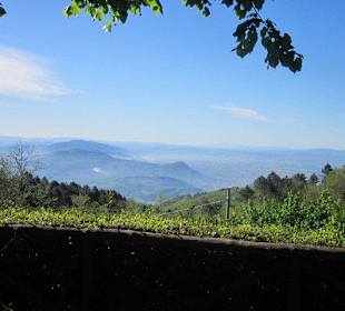 Blick vom Restaurant auf Montecatini