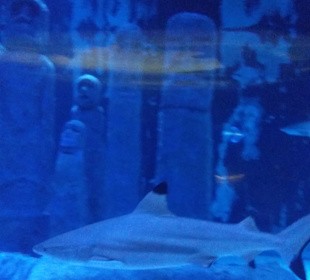 Antalya Aquarium