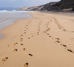 Wüste, Strand und Berge