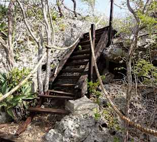Steilere Passagen führen über Leitern