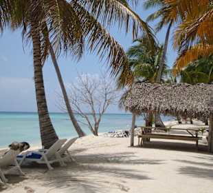 Saona Island einfach traumhaft