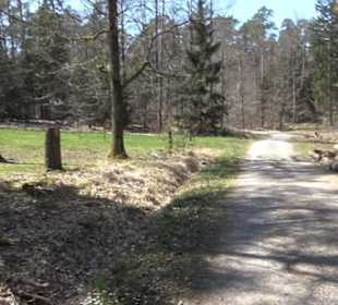 Waldkulturerbe Neuweiler Viehweide