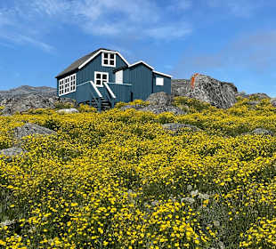 Impressionen Nanortalik