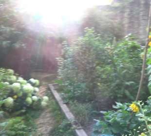 Interkultureller Gemeinschaftsgarten