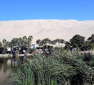 Oase Huacachina