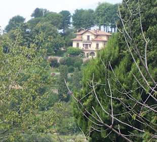 Villenort