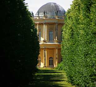 Mit Zoom bei der Allee