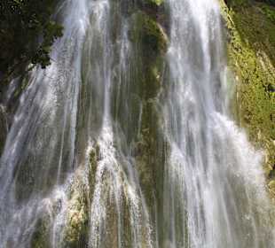 Exkursion zu El Limon