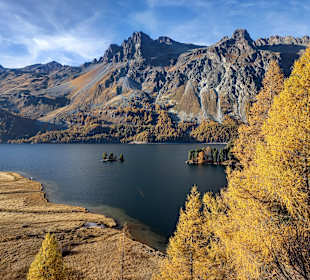 Silvaplanasee