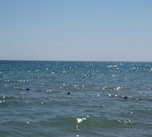 Strand Albena