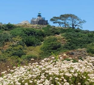 Old Point Loma Lighthouse