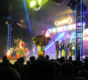 Neue Show Madagascar