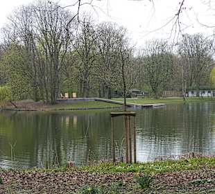 Blick auf den See mit Ruhebänken