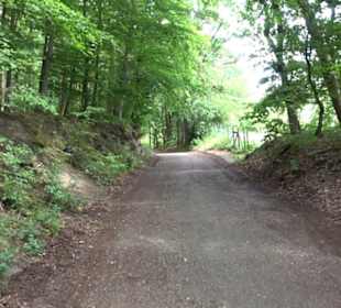 Schutzgebiet Spitzberg, Pfaffenberg