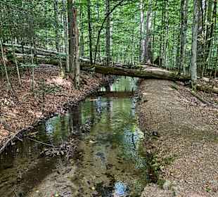 Wandern Frauengau