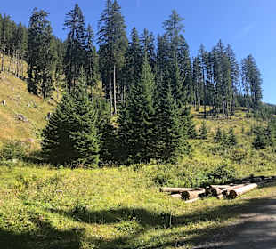 Wandern St. Johann im Pongau