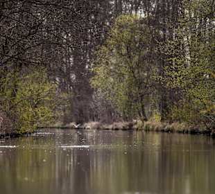 Wandern Straupitz
