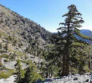 Виды с гор Сан-Габриэль