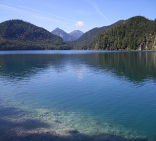 Alpsee