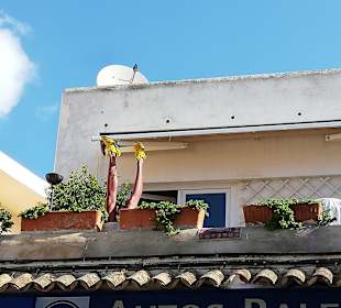 Stadtrundgang Peguera