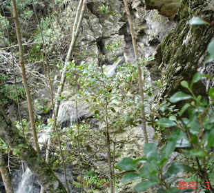 Tsitsikamma National Park