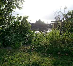 Landschaft im Gelände