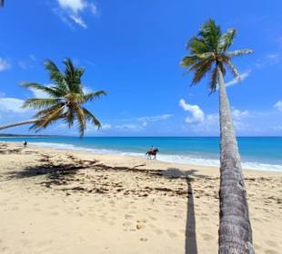 Zwischenstopp Schaukelberg