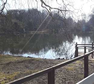 Botanischer Garten - Rombergpark