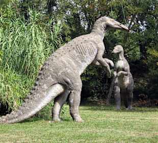 Safaripark Natura Viva im Süden des Gardasees