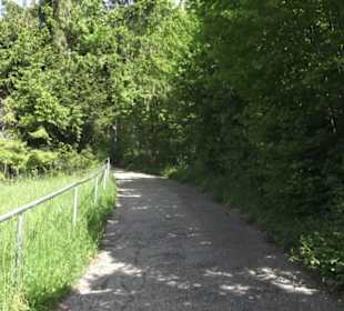 Burgruine Hohenrechberg