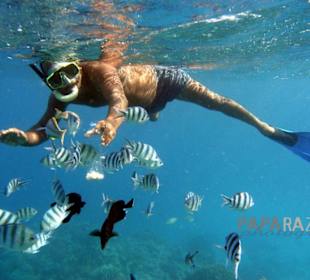 Fische Fische Fische