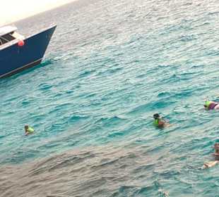 Hurghada Korallenriff