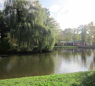 Schwanenweiher Kandel