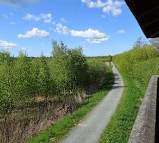 Blick vom Aussichtsturm auf den Seeweg