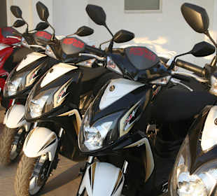 Viele neue Scooter & Quads