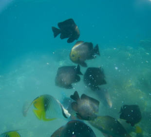 Einfach wunderschön!