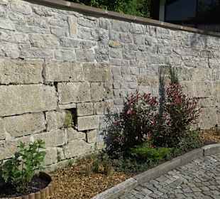 Friedhof Horb am Neckar