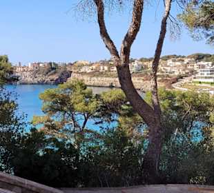 Aussicht Porto Cristo