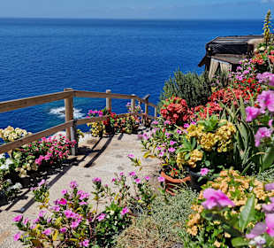 Inselrundfahrt La Palma