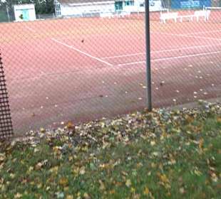 Tennisplätze Kressbronn