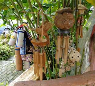 Wildlife Expeditions