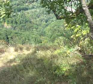 Kleiner Greifenstein