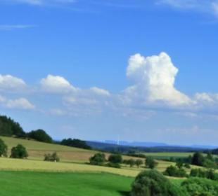 Naturschutzgebiet Forchenkopf Wittlensweiler