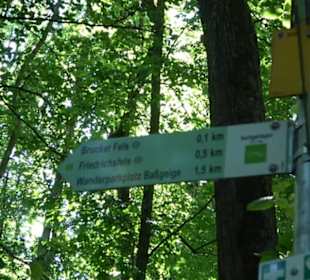 Premiumwanderweg "hochgelegen"