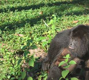 Unsere netten Nachbarn