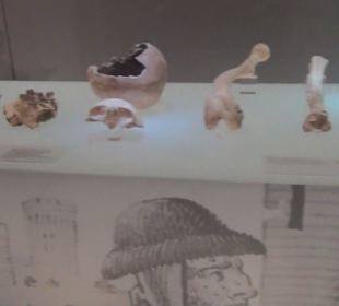 Archäologisches Landesmuseum