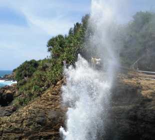Blow Hole