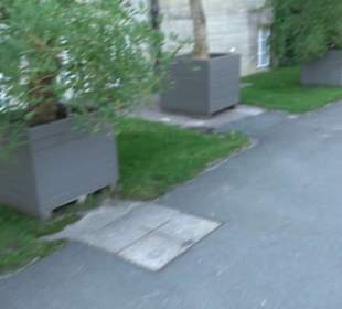 Botanischer Garten München